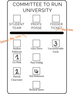 Diagram of a ballot paper, voting below the line